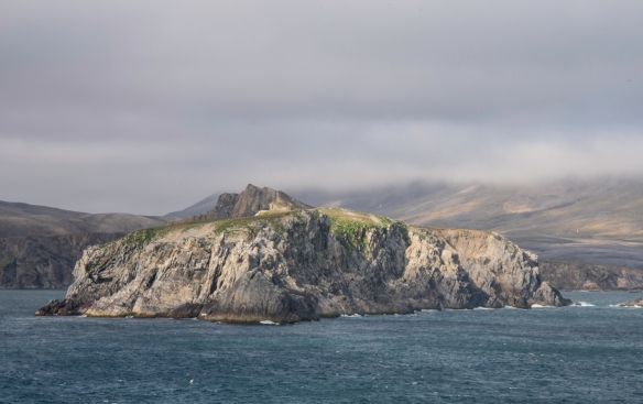 The lack of protected bays and the rough weather with strong winds and frequent fog make visiting Bjørnøya (Bear Island), Svalbard, a bit of a lottery